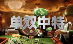 精选免费材料大全期期准V2