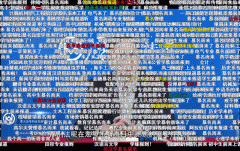 关于B坐“罗翔说刑法”弹幕的研究