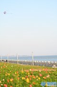 <strong>2月3日今天立春时间几点几</strong>