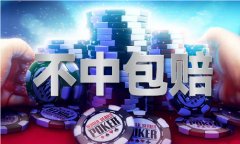<b>2019完结都雅的gl小说</b>